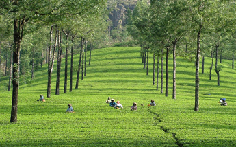 South India Hill Station